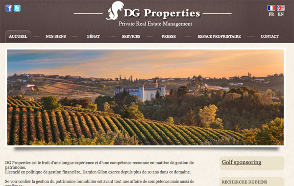 DG Properties