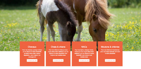 Marc Dejean – vétérinaire