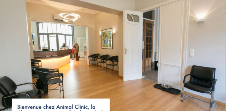 Animal Clinic